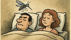 Виц: Спиш с някого – комар избира...