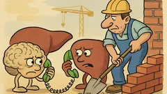 Анекдот: Черният дроб се обажда на мозъка